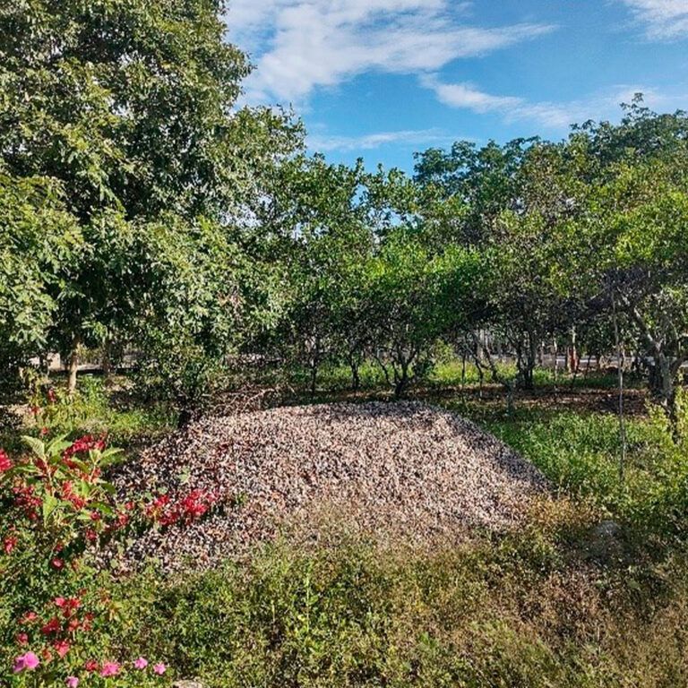 Marzo de 2024, grava, para la construcción de una enramada